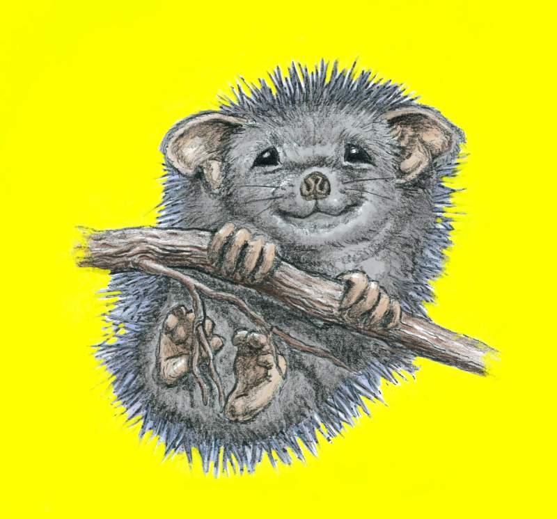 Herbert the Hedgehog on a branch with a yellow background